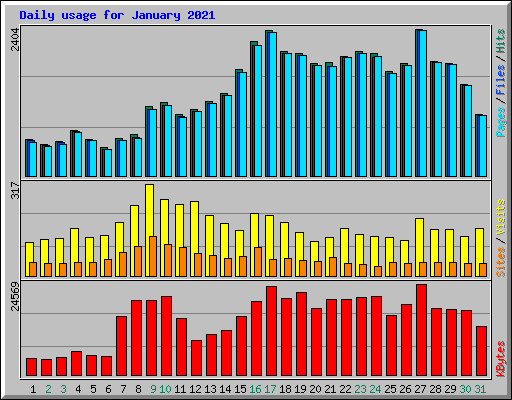 Daily usage for January 2021