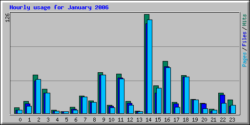 Hourly usage for January 2006
