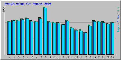 Hourly usage for August 2020