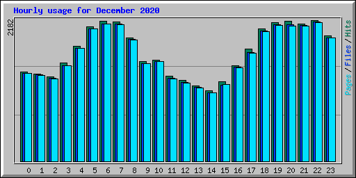 Hourly usage for December 2020